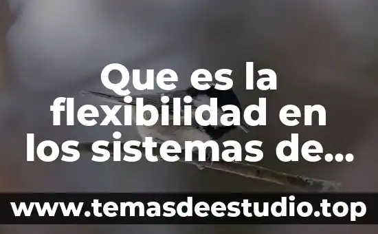 Que es flexibilidad de planta 3 Que es la flexibilidad en los sistemas de producción