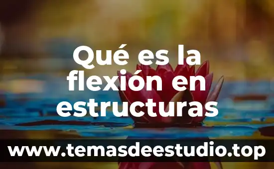 Qué es estructuras sociales de pecado den ejemplos 7 Qué es la flexión en estructuras