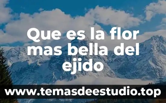 Que es mas barato el triplay o el liston 4 Que es la flor mas bella del ejido
