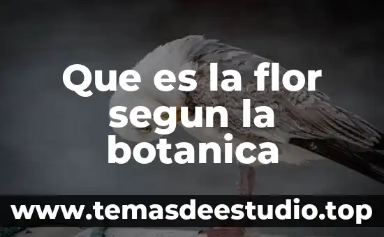 Que es embed en forms 6 Que es la flor segun la botanica