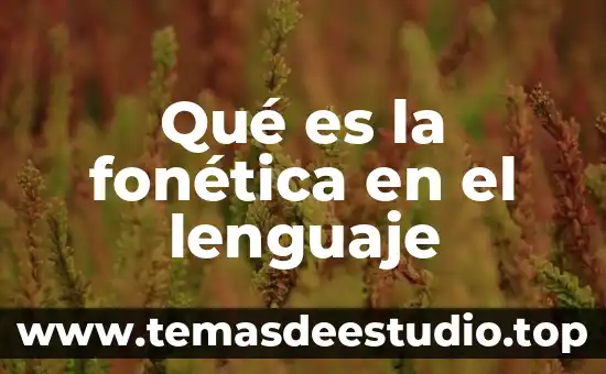 Qué es la fonética en el lenguaje