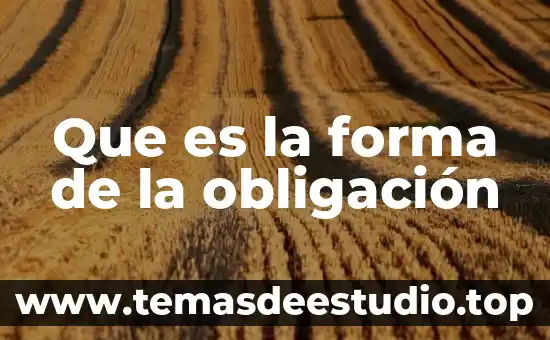 Que es transmitir una obligacion enciclopedia juridica mexicana 3 Que es la forma de la obligaci贸n