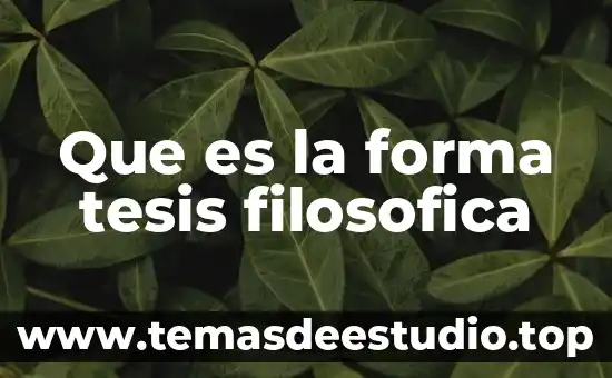 Que es la fe definicion filosofica 5 Que es la forma tesis filosofica
