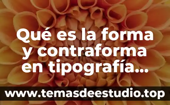 Qué es la forma y contraforma en tipografía prezi