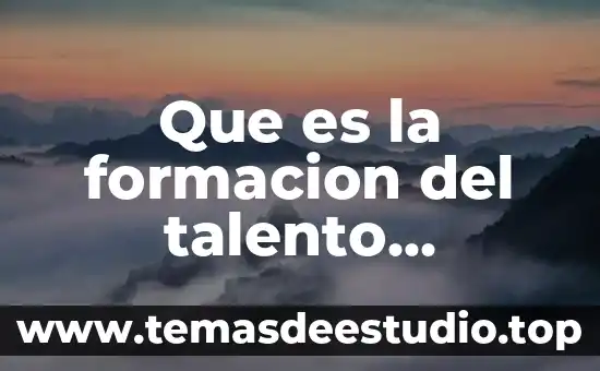 Qué es una política de talento humano 3 Que es la formacion del talento humano