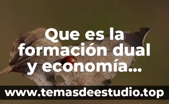 Por que es importante la economía para el desarrollo sustentable 4 Que es la formación dual y economía sustentable
