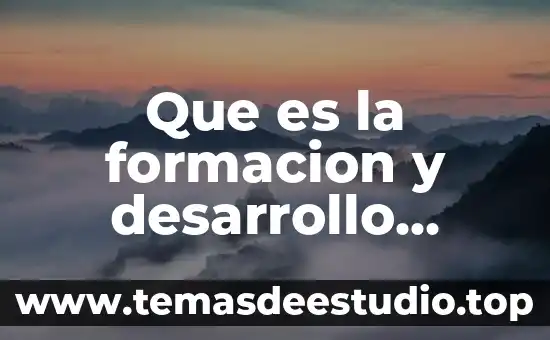 Que es la reflexion de la practica docente segun autores 3 Que es la formacion y desarrollo profesional docente