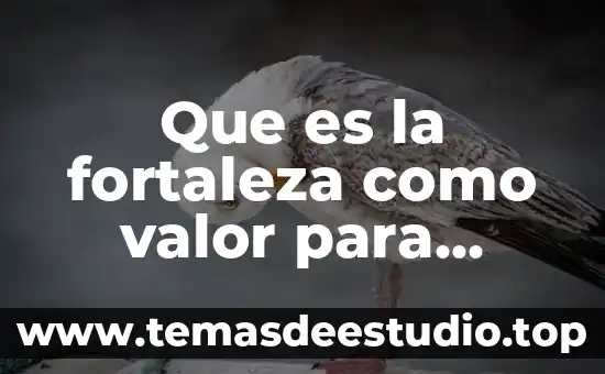 Que es la fortaleza como valor para niños