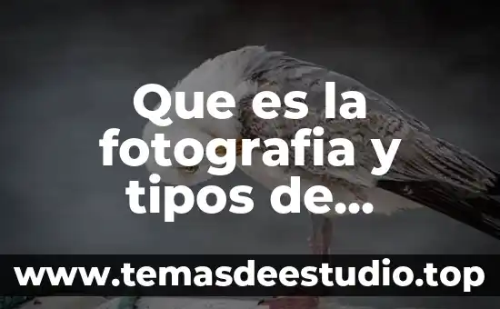 Que es la fotografia y tipos de fotografía