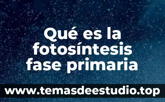 Que es la idea primaria 7 Qué es la fotosíntesis fase primaria