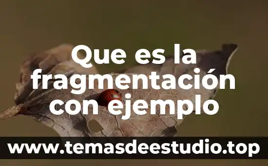 Que es una forma en arquitectura 7 Que es la fragmentación con ejemplo