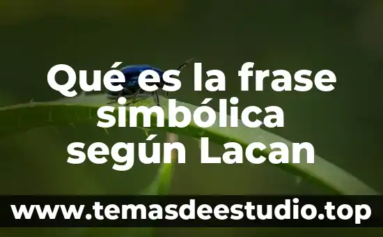 ¿Qué es educación según Paulo Freire? 4 Qué es la frase simbólica según Lacan