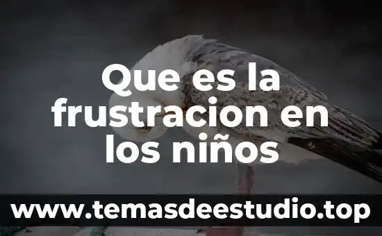 Que es la frustracion en los niños