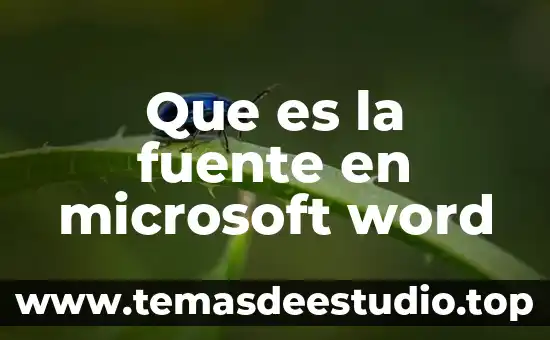 Que es la fuente en microsoft word