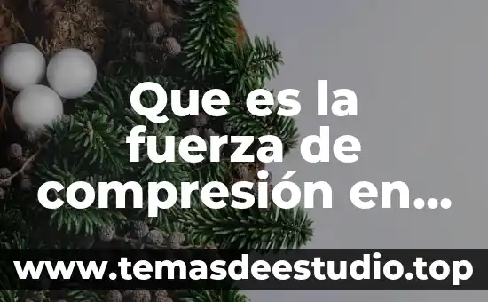 Que es la fuerza de compresión en puente colgante