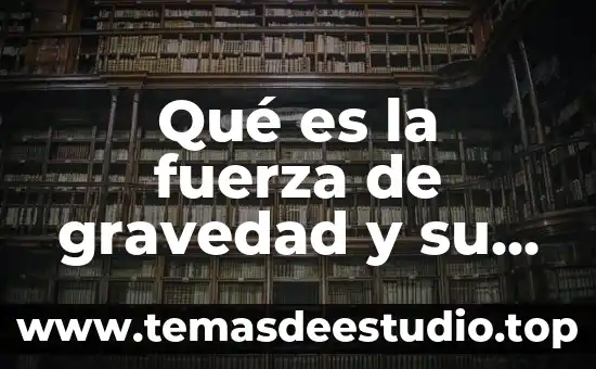 Qué es la fuerza de gravedad y su ejemplo