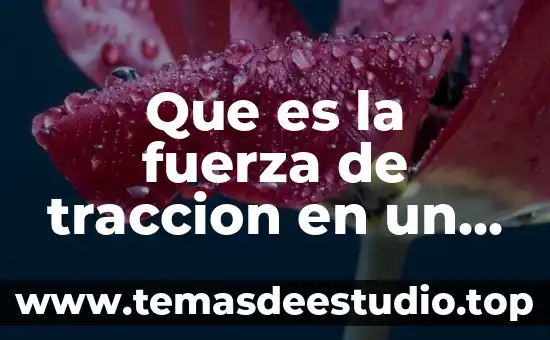 Que es energia tracción animal 3 Que es la fuerza de traccion en un puente colgante