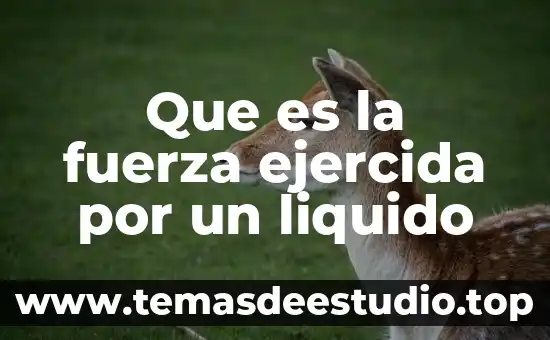 Qué es la fuerza isotónica e isométrica 6 Que es la fuerza ejercida por un liquido