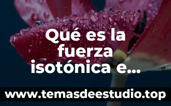 Que es fuerza en atletismo 5 Qué es la fuerza isotónica e isométrica