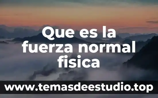 Que es bueno para mantener la presion normal 3 Que es la fuerza normal fisica