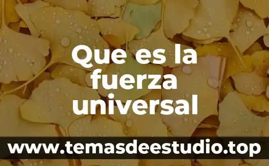Que es historia universal dibujo 3 Que es la fuerza universal