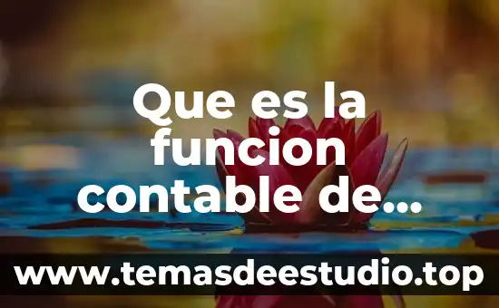 Que es un texto argumentativo y su funcion 4 Que es la funcion contable de una empresa