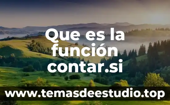 Que es la funcion del signo linguistico 5 Que es la función contar.si
