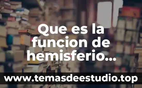 Que es la función en arquitectura 4 Que es la funcion de hemisferio derecho