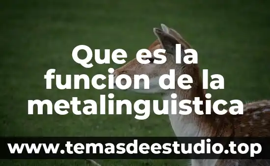 Qué es el humor vítreo función 7 Que es la funcion de la metalinguistica