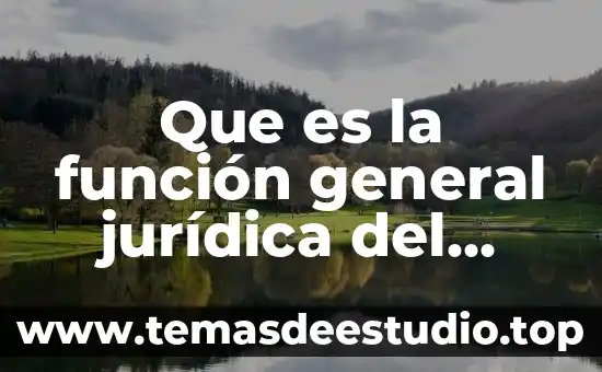 Que es un texto argumentativo y su funcion 5 Que es la función general jurídica del gobierno
