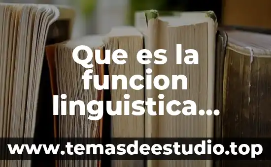 Qué es la insulina función 7 Que es la funcion linguistica expresiva