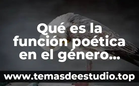 Qué es la función poética en el género dramático