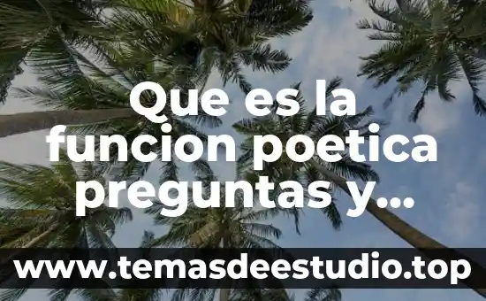 Que es la funcion poetica preguntas y respuestas