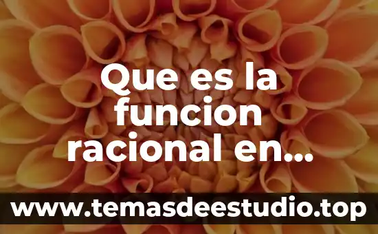Matematicas que es tabla 5 Que es la funcion racional en matematicas