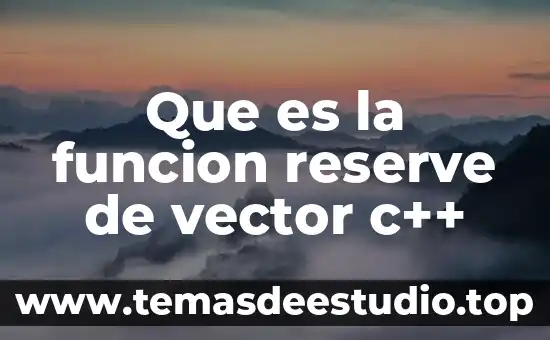 Que es vector compuesto yahoo 3 Que es la funcion reserve de vector c++