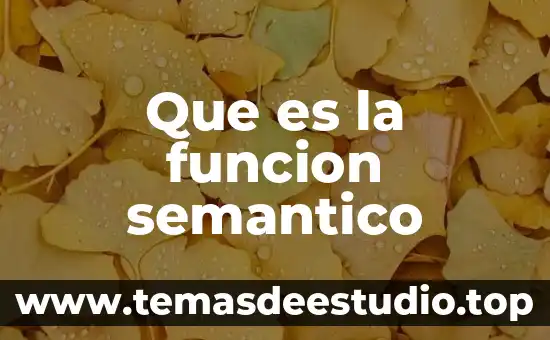 Que es la función en arquitectura 8 Que es la funcion semantico