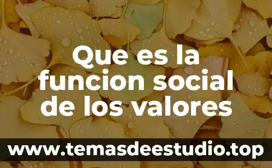 Que es la funcion social de los valores
