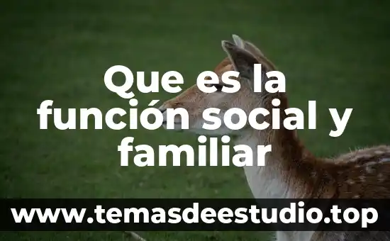 Que es una acta de mediacion familiar 6 Que es la función social y familiar