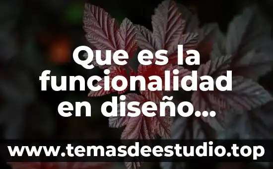 Que es la figura en el diseño grafico 4 Que es la funcionalidad en diseño grafico