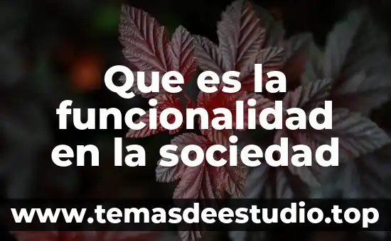 Qué es una sociedad sab 8 Que es la funcionalidad en la sociedad