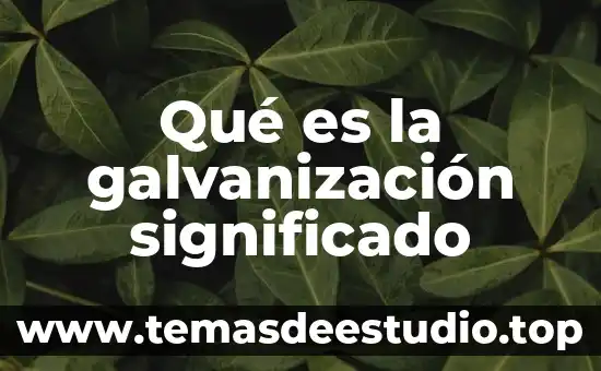 Laringe significado etimológico y que es 6 Qué es la galvanización significado