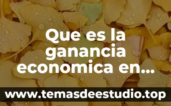 Que es micro o macro historia 6 Que es la ganancia economica en micro y macro economia
