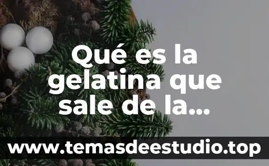 Que es el pensamiento y los tipos de pensamiento 3 Qué es la gelatina que sale de la vagina