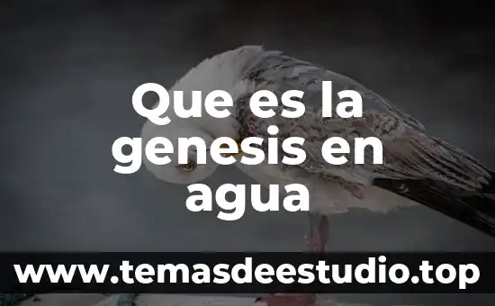 Que es jaguares animal 8 Que es la genesis en agua