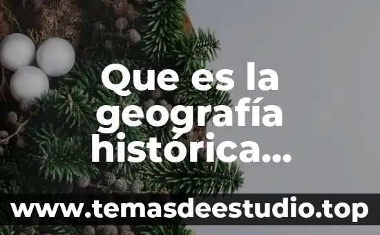 Que es dadaismo concepto 5 Que es la geografía histórica concepto