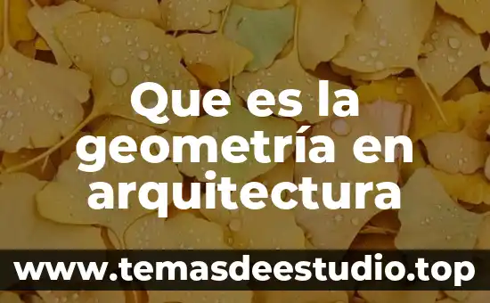 Que es una organizacion centralizada arquitectura 6 Que es la geometría en arquitectura