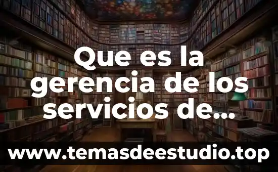 Que es una unidad productora de servicios de salud 6 Que es la gerencia de los servicios de enfermeria