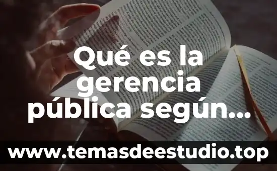Qué es la gerencia pública según autores