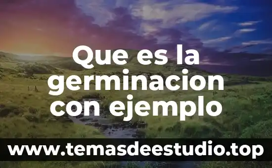 Que es docilidad significado 7 Que es la germinacion con ejemplo