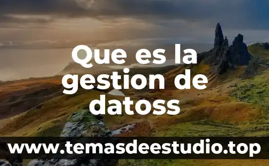 Que es la gestion de datoss